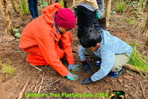Kids Program Tree Planting 2024